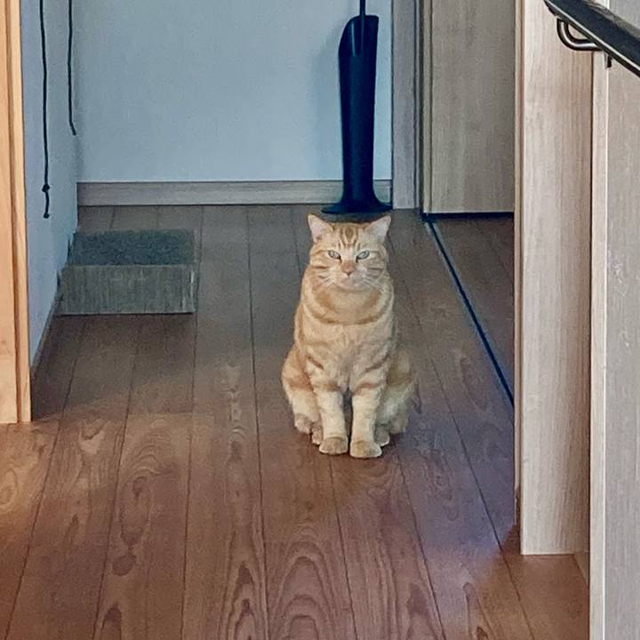 D3176483 eb1f 4aba 8296 aefa995889a3 1764308519233