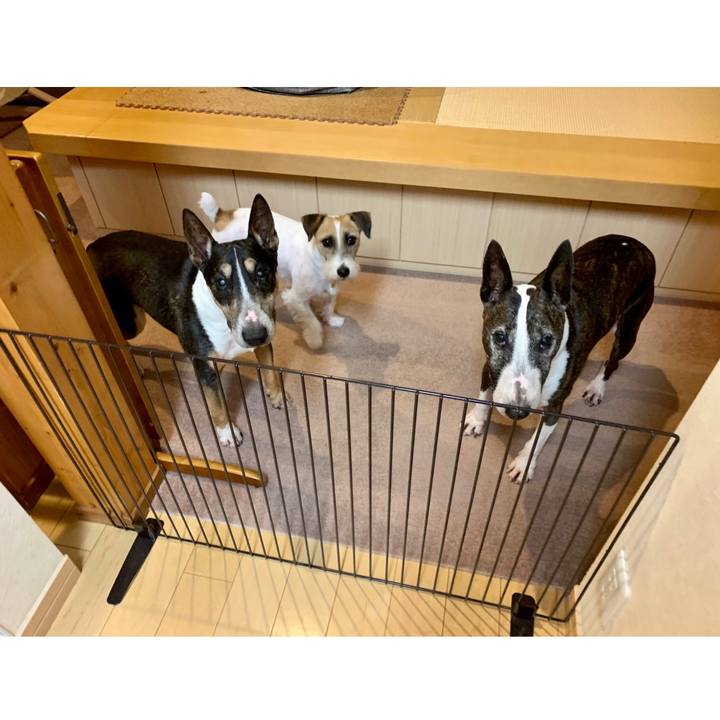 D3177068 cf09 4043 a457 27ad7f263e96 1602234300639