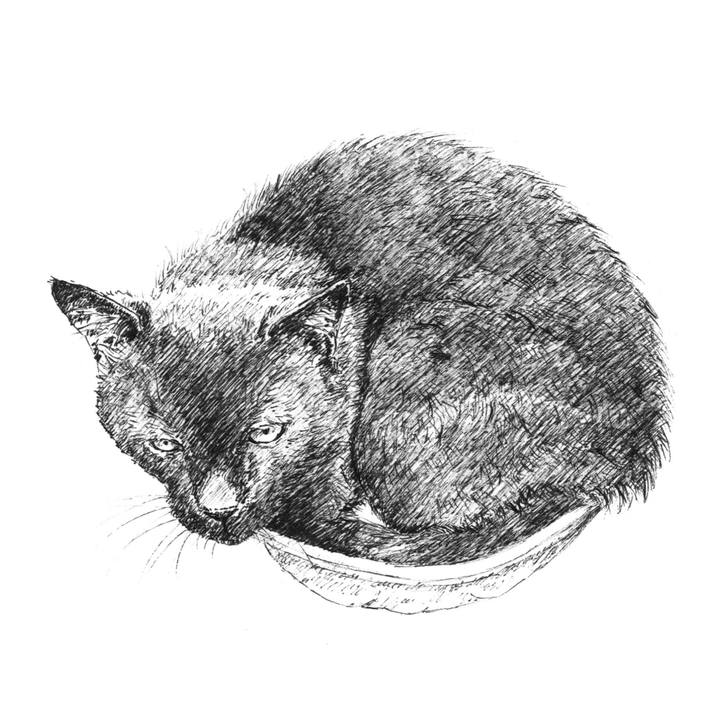 D317a6bb a7ce 4c3a b151 19259ccb93b2 1583072035814