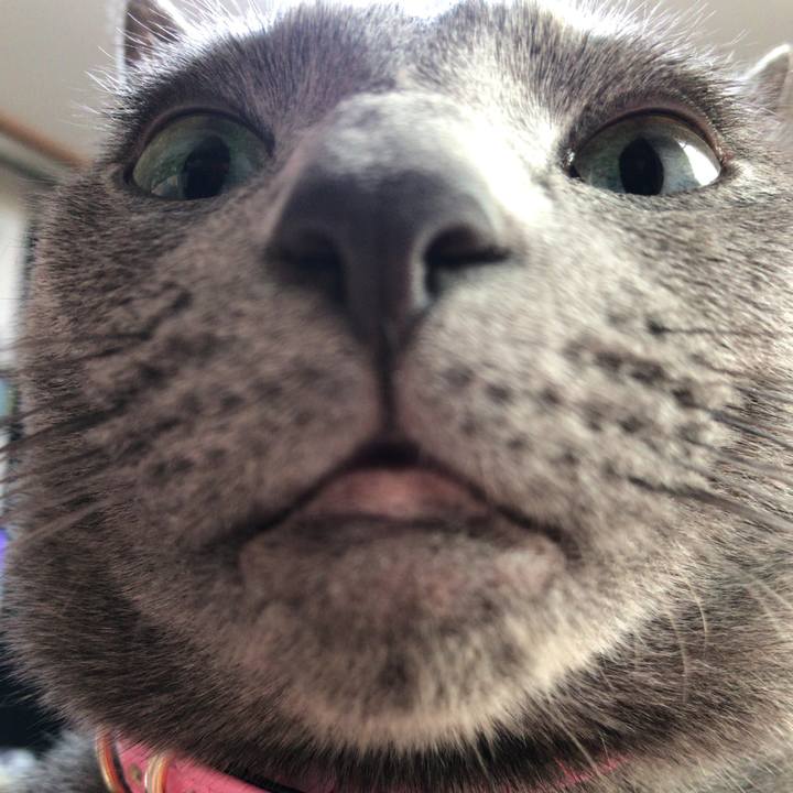 D317b67c 98d7 466a adca 5fd1acc8e13b 1509748961190