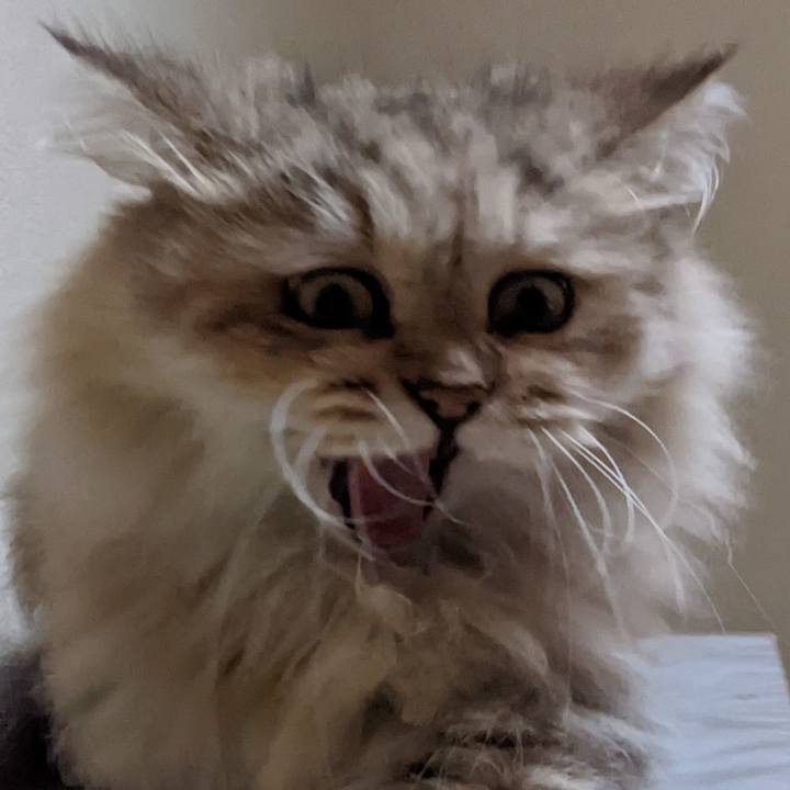 D317b7f9 49b9 4968 be71 9528a9e7a987 1663542691771