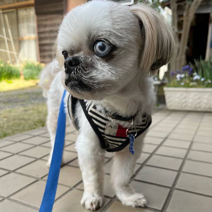 D317c48f 682d 4ddc 9af4 538c1c94bba1 1649821586028