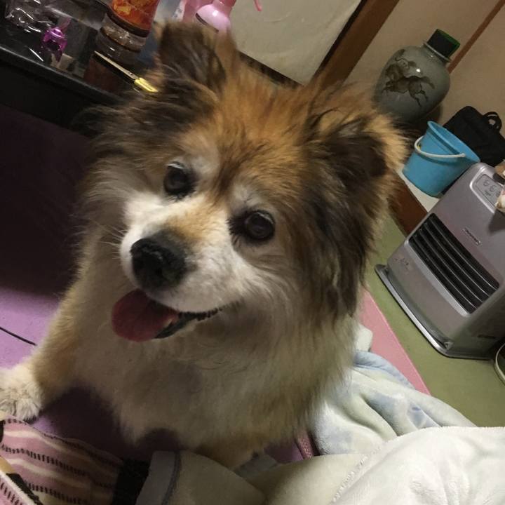 D317cd62 2ee8 474e a8c6 f6f6f8277f60 1591070133156