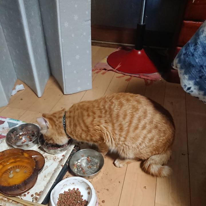 D317ef67 d172 4647 8ee5 42f905743b6b 1649279407038