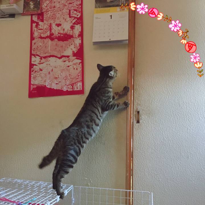 D317f15a a18f 41a6 8cd1 20b08d791c21 1549263638591