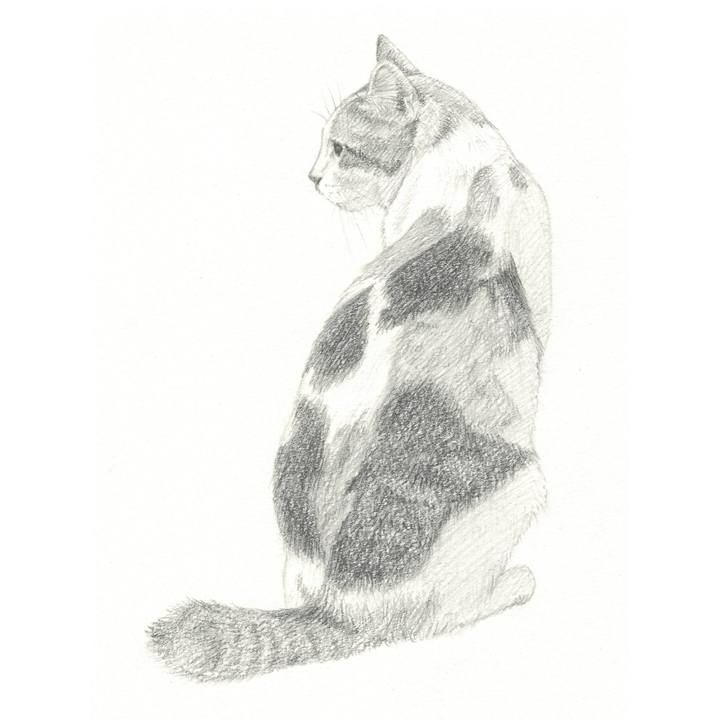 D3181014 c0e7 41d4 a4ed 6ddcbb10d80a 1538310013306