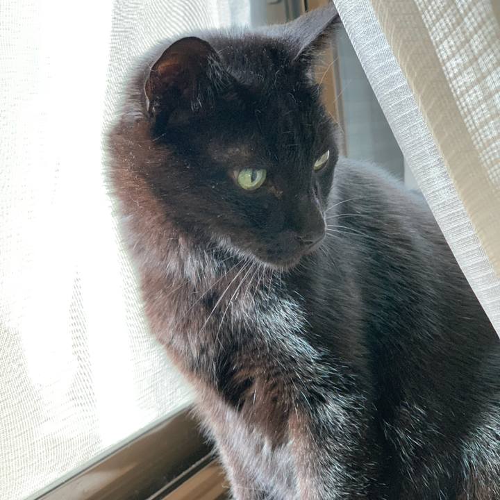 D318221c 1b5d 4cf8 8209 98e9697c77bb 1602033273620