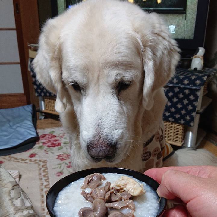 D3183e12 9b0a 4e4c a26f 742d9a95ccd3 1578393069174