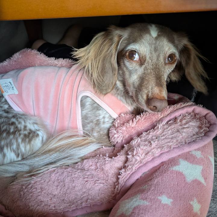 D3184912 f2da 4fb9 8fca ff40845d6984 1764889506419