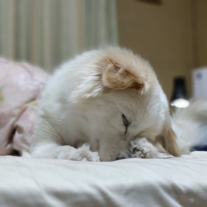 D31861a2 f58e 4f0e 99d9 32b220ea2634 1653601919517