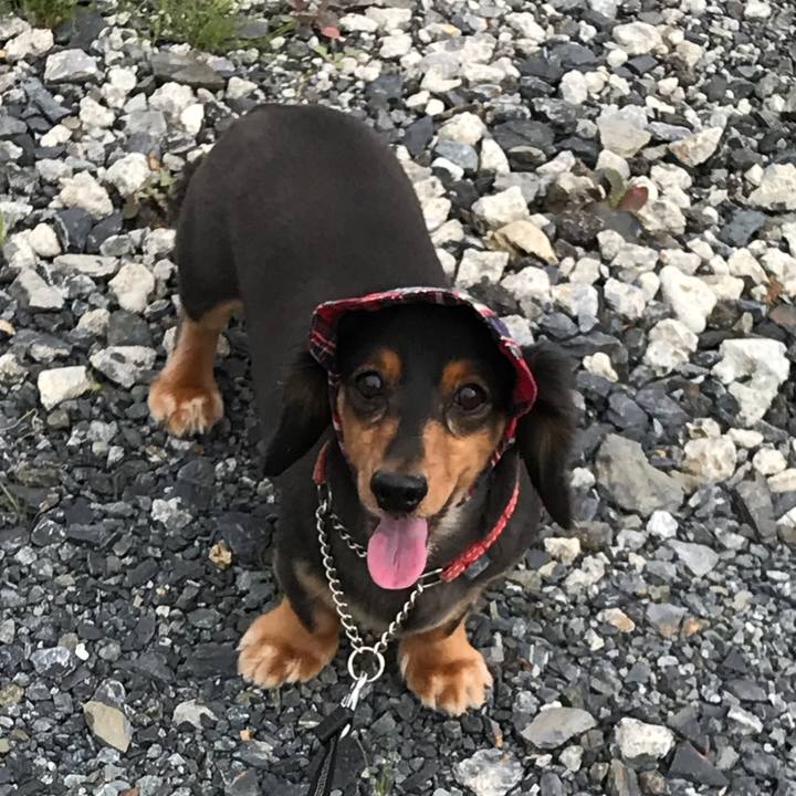 D3188a77 2d11 4abe 92ec e0a03317228c 1507846799843