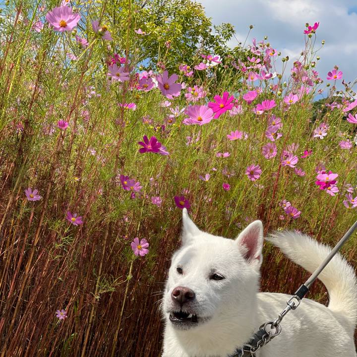 D318dcf2 98db 4f81 aeea d95dbaa0e59e 1697342112828