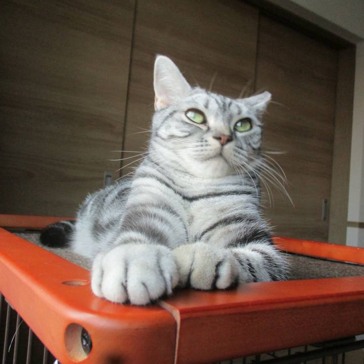 D318ddc1 aba6 46fa 92c8 4ecd64c156d5 1572270282452