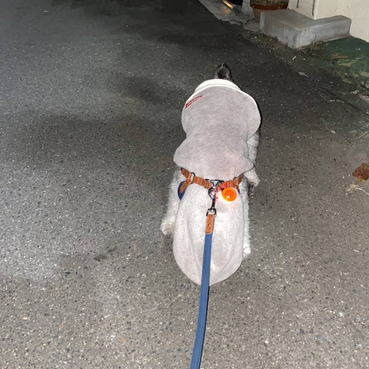 D31901f0 f72a 4b3e ac49 fc2bd9b34067 1575821314426