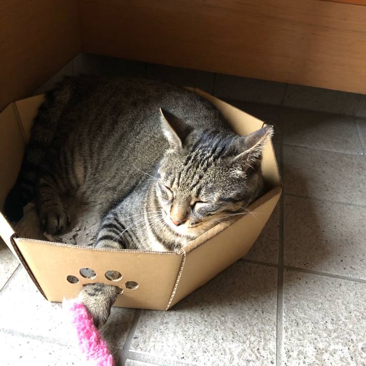 D31920bf c017 462a aa8b 14033656cfe3 1566565023359