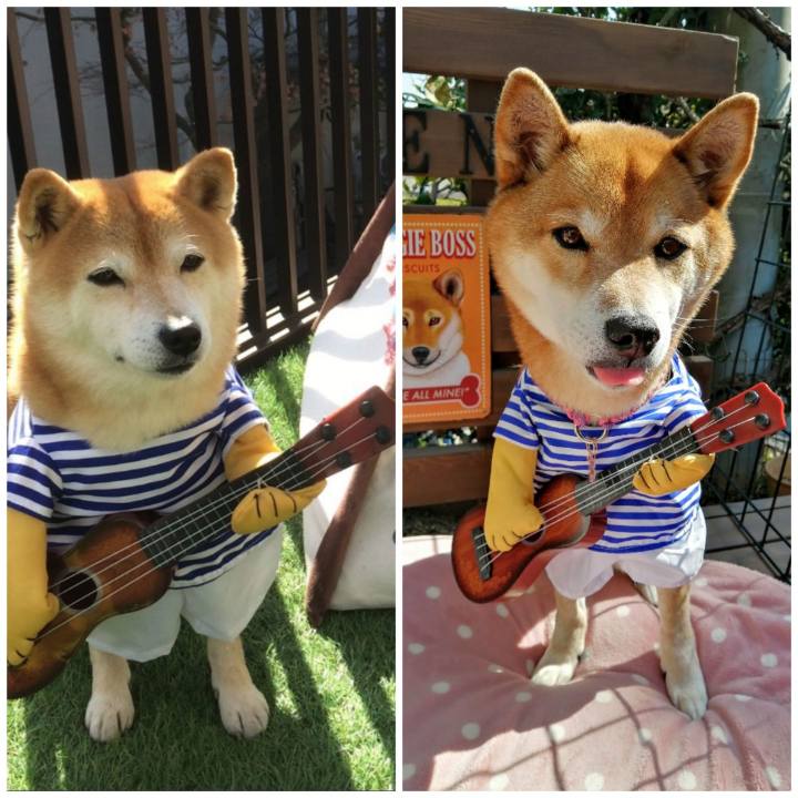 D3193dd4 a1ad 4bf1 a071 ee9cf8c7ebfa 1613990802831