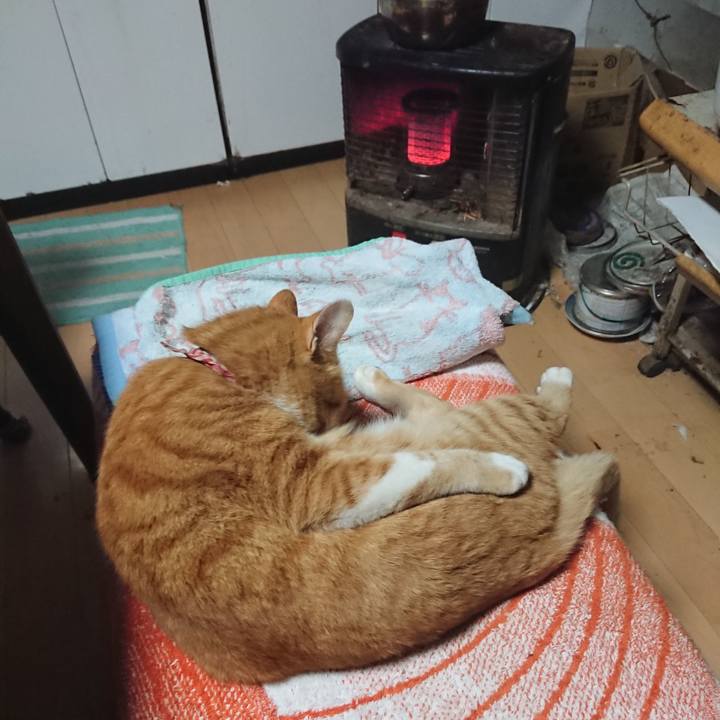 D31950e9 8fc3 43d0 837c 837e41d6bd07 1603574558611