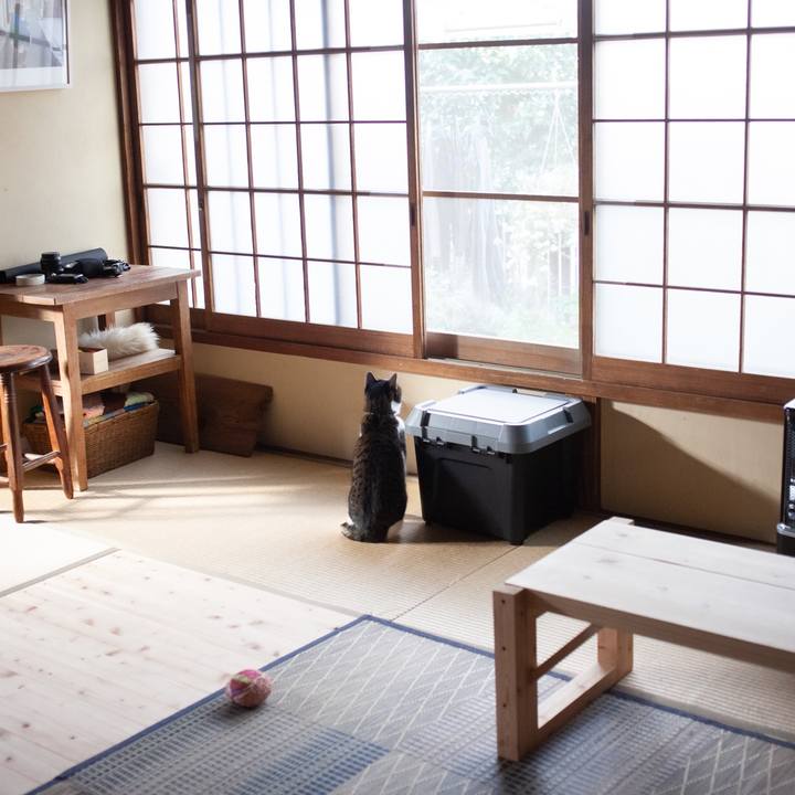 D3195135 1f43 4ec0 92d5 f7c96e21d33d 1577501725308