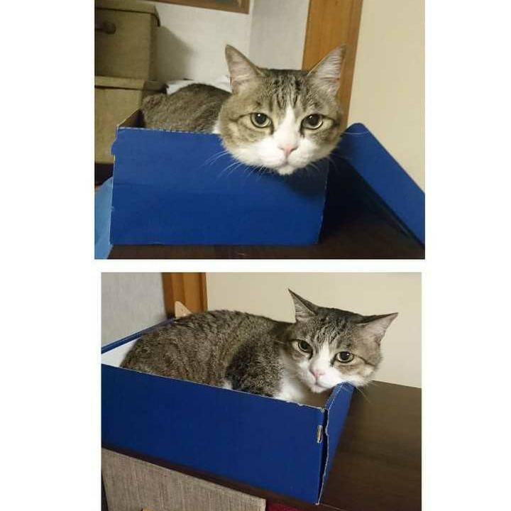 D3198463 e858 4289 951c 2660b42c15bc 1561984976141