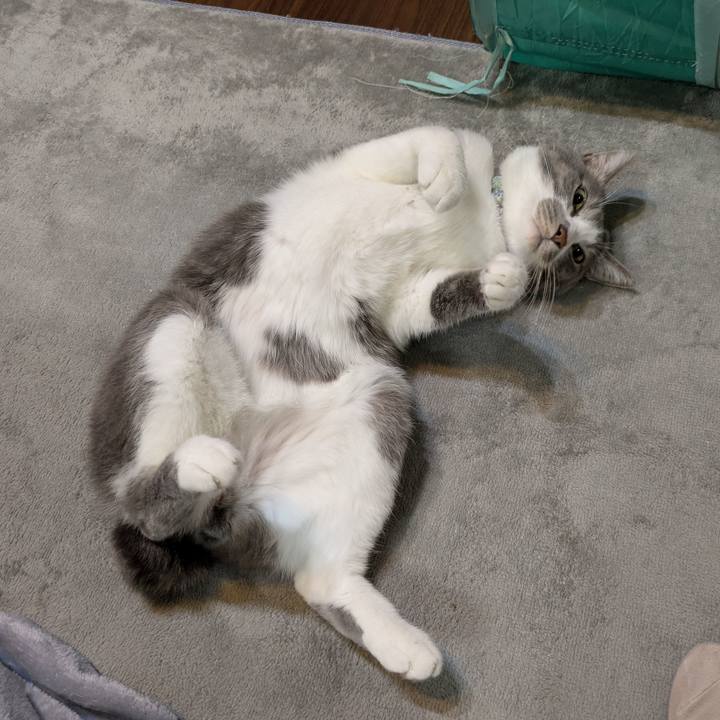 D319bf78 eafb 43f6 b064 a75d37838107 1735653026313