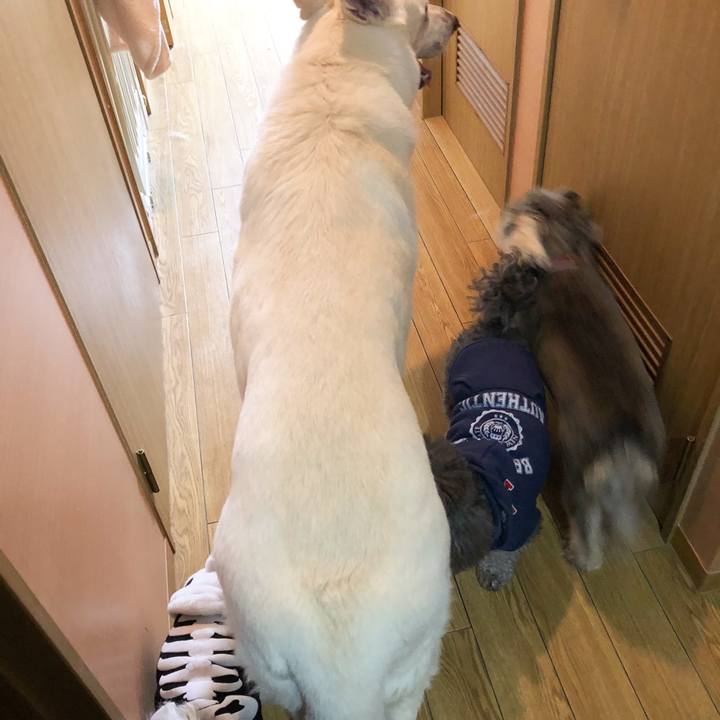 D319c939 a721 4739 a712 b9dcabece6c8 1552654436919