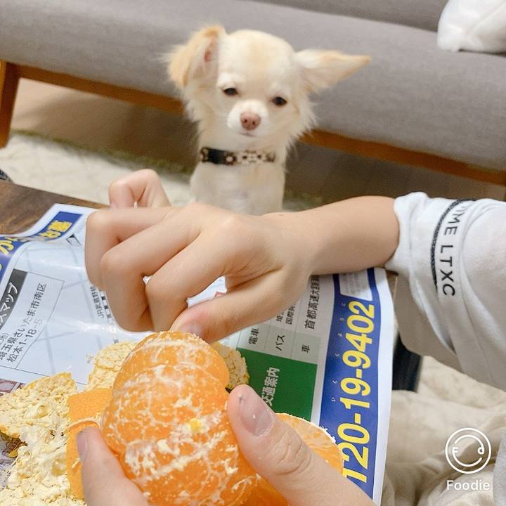 D319ce98 d353 4f4b a4c3 c2d7207755b9 1604563462616