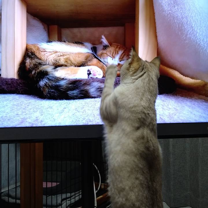 D319f021 a9f5 4967 8296 eeeaeba35ca1 1613207405044