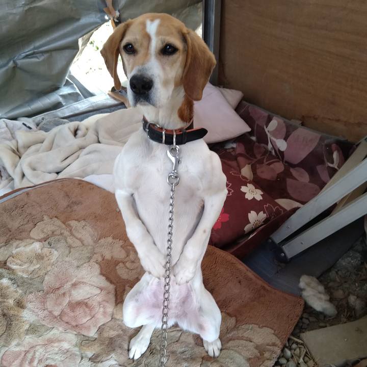 D31a0292 147e 40f8 93f2 cde64416e7fe 1648126610790