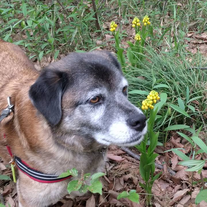 D31a5508 2358 4591 92b3 53cf1a07b29c 1523670963007