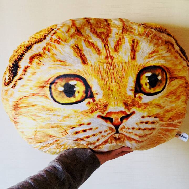 D31a6b3b c480 46f3 be5d e7f4415dcc00 1578047243774