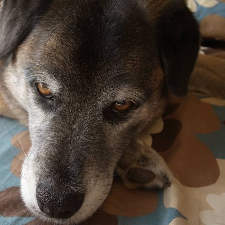 D31a9610 cd0a 457d 8daf c74d8d09b7d7 1599696951217