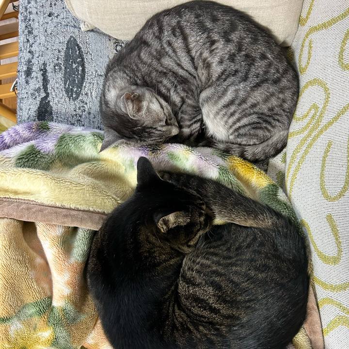 D31a971a 02c4 4a11 8fc9 2f75b6f4a573 1740325402668