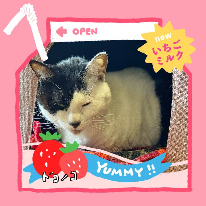 D31aac88 0d59 4a9e 8d44 3c42da080e9d 1711062505308