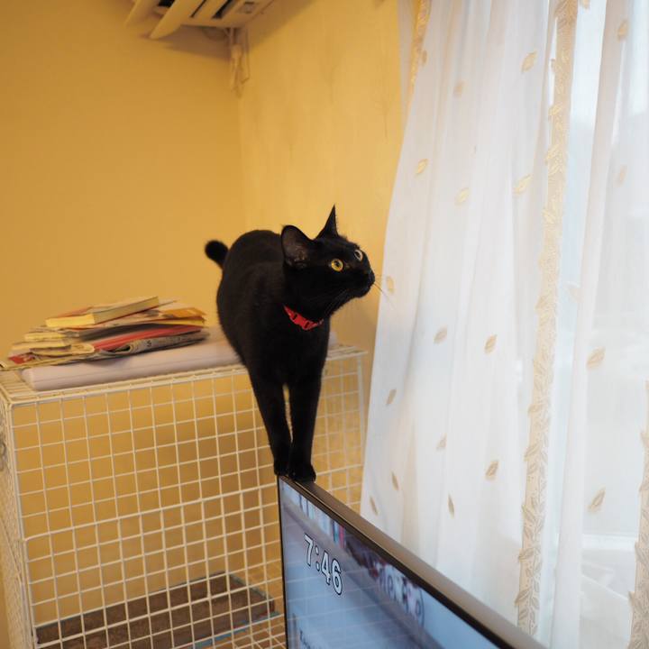 D31ae664 cb90 4f8d b659 7c2d904da5c5 1535896257544