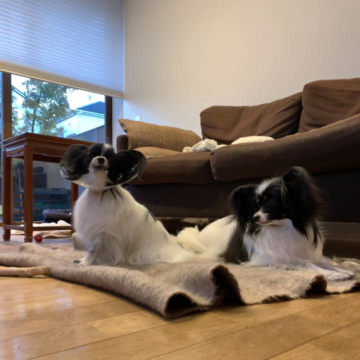 D31af7a4 065a 4e07 9d94 e7481c75ef8a 1542230496514