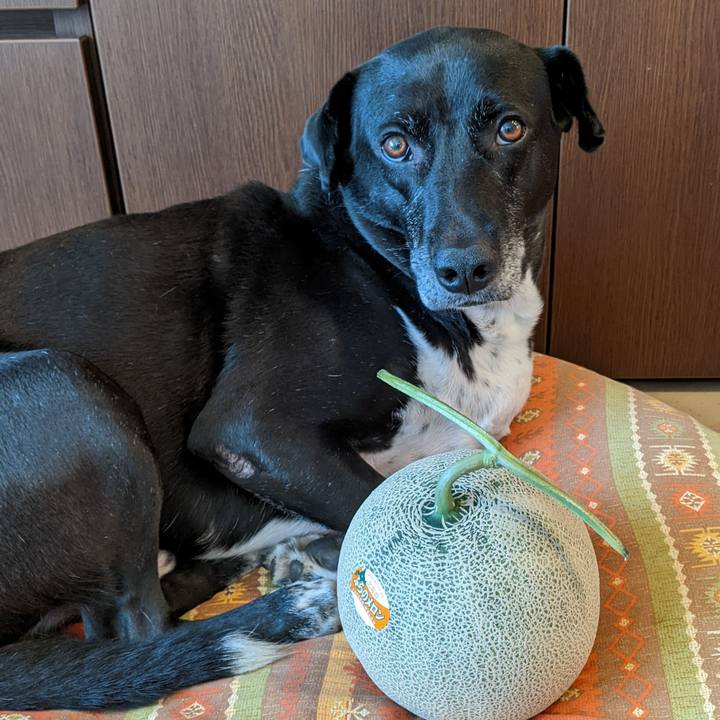 D31b162f 4d87 4beb 910a ab680d26a80f 1689597591693