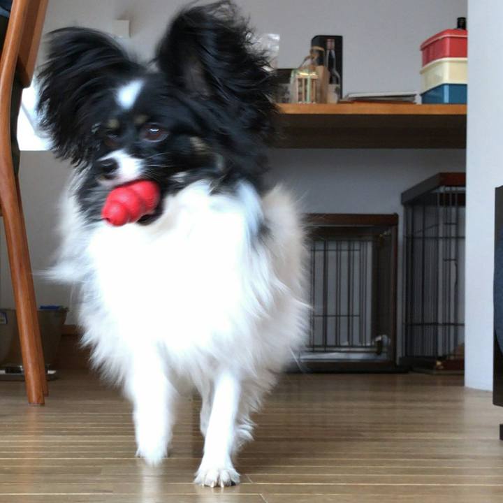 D31b6630 9a5d 45ca 9baa 39fa2e4ee91b 1511093457973