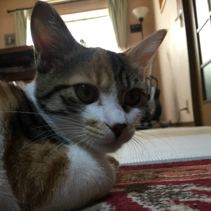 D31b6ad3 5ecd 47a5 a628 871ce6067efe 1638141819050