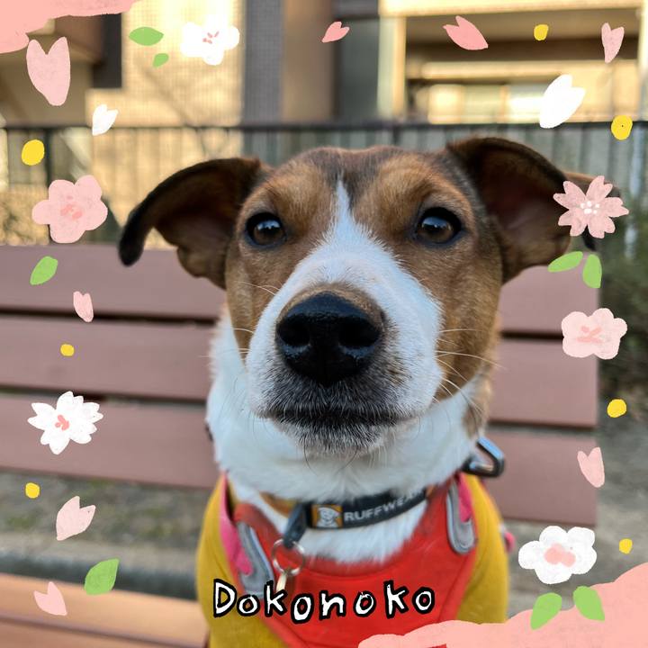 D31b7c8c 9ab0 48cd 8485 c91e14ea6eb7 1710992529401