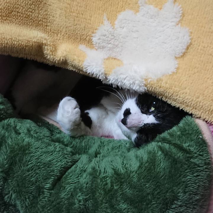 D31b90c8 bc6d 474b b244 91597573681b 1552654338144