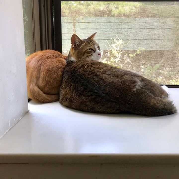 D31bdbd0 d1a2 4130 81e3 c098bac91788 1528346877541