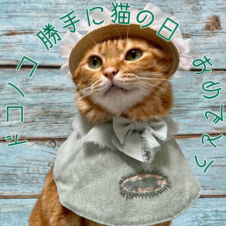 D31c3c27 79ef 47d0 aaae af3f1d250cc8 1692661685952