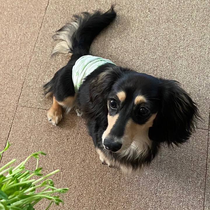 D31c4af6 0ef1 4999 88c9 cccce48b2f5b 1686871523524