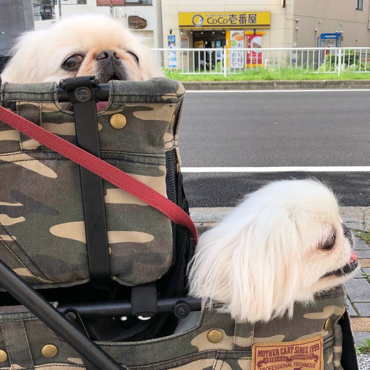 D31c77a9 b991 46da a3fe 87df6cb20a3a 1530856216698