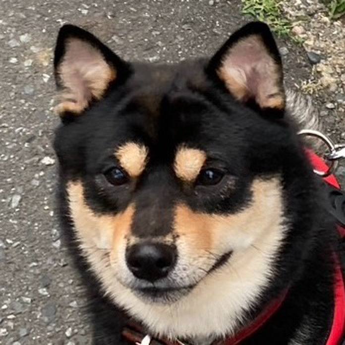 D31c9205 5a79 4128 b466 229c4d3f428f 1719483809020