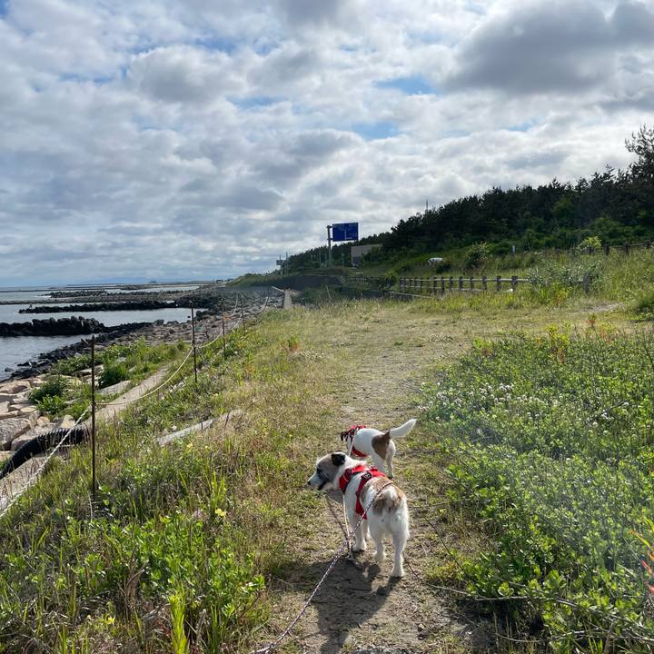 D31c9c53 9501 41fc a80c 5e59ab14a7f8 1654387167131