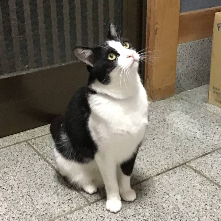 D31ca430 7ce2 43c4 be11 8cebcd49971d 1718017669512