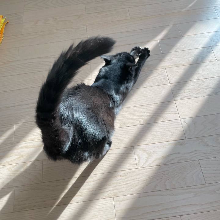 D31ca4f8 5298 43fb b1e6 1b9d5408d406 1723638997150