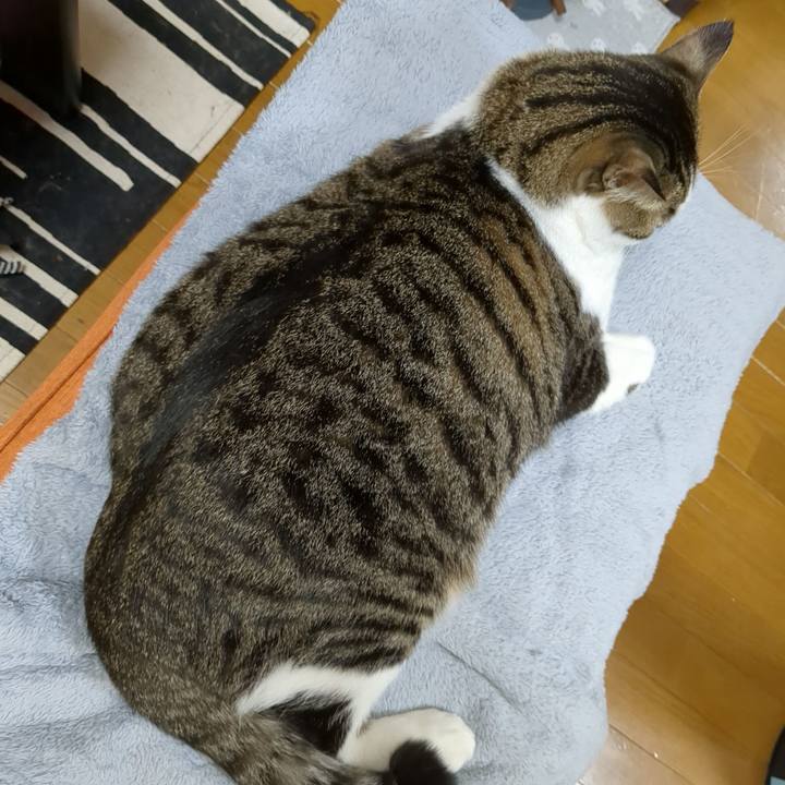 D31cbb9f 494d 4b2c 9972 368af5fc4f35 1666656239808