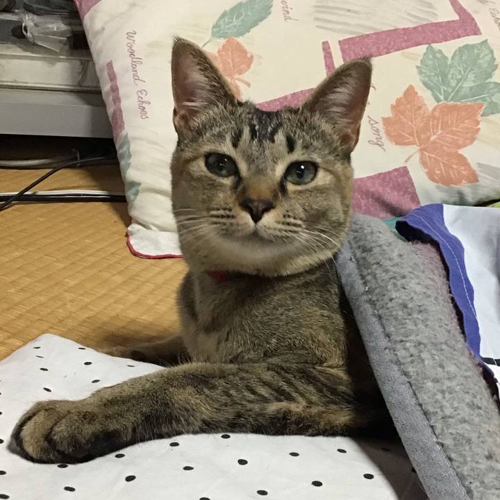 D31cbbbf acdb 4245 9913 53fcf7d2f36b 1583391556365